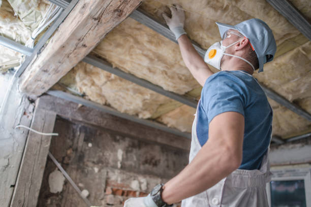 Best Insulation for Specific Applications in East Dundee, IL