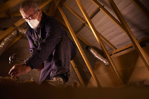 Best Insulation Maintenance and Repair in East Dundee, IL